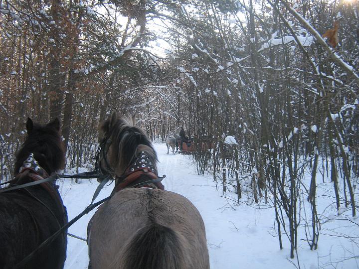 zad 040.jpg